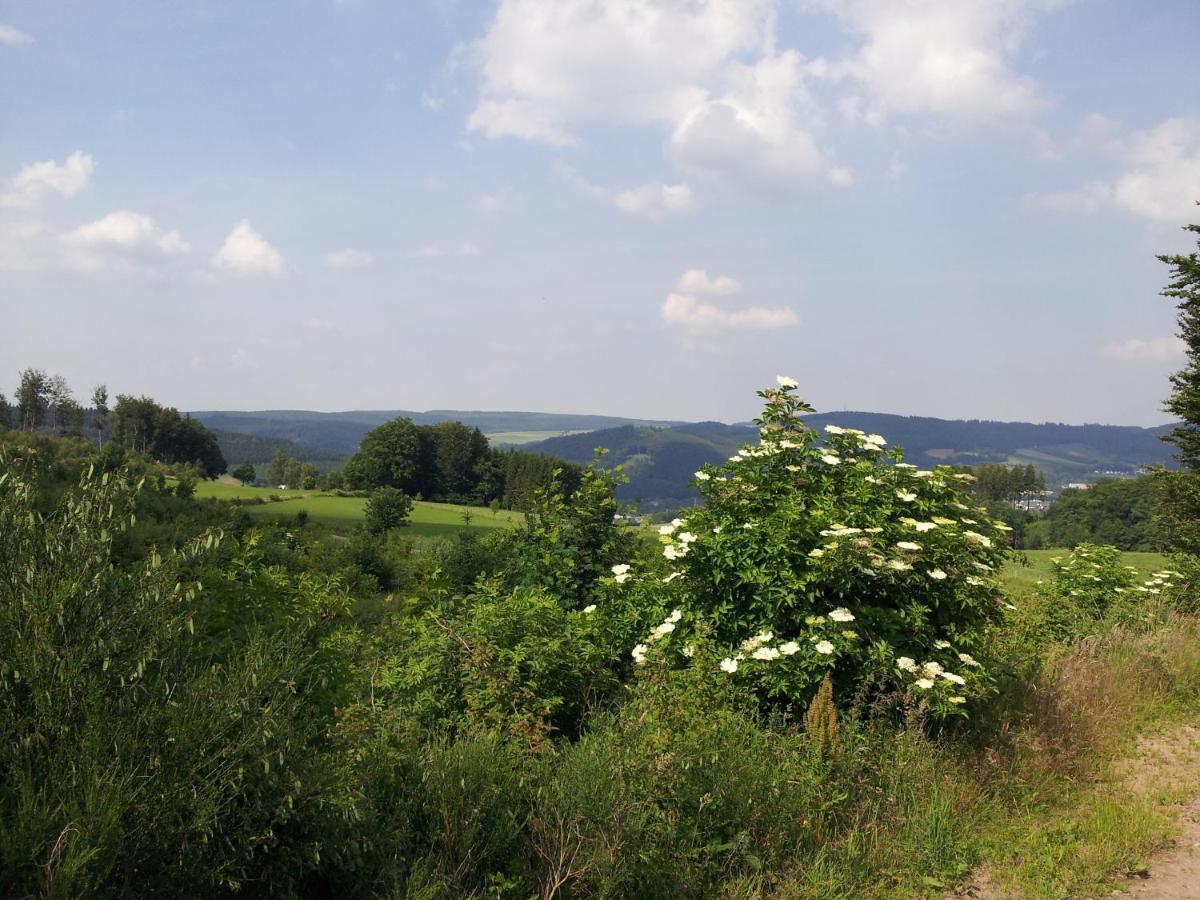 Hotel Bigger Hof - Wirtshaus Platzhirsch Am Jahnplatz Olsberg Exteriér fotografie